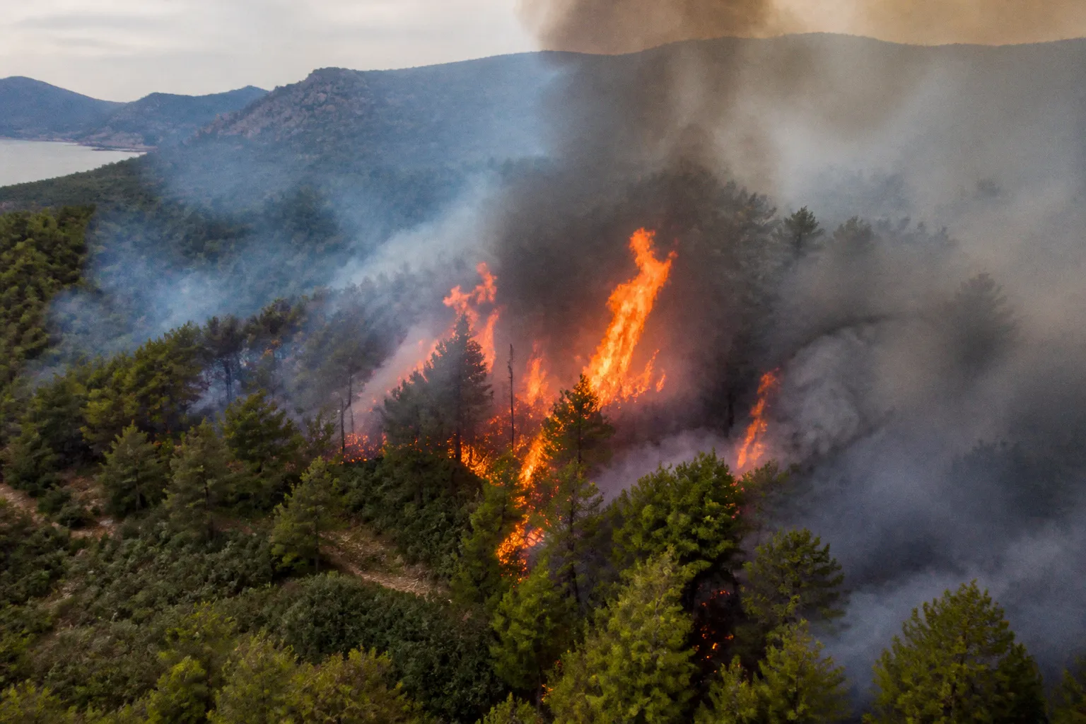 Incendies : dispositifs d'aide et recours pour les propriétaires sinistrés