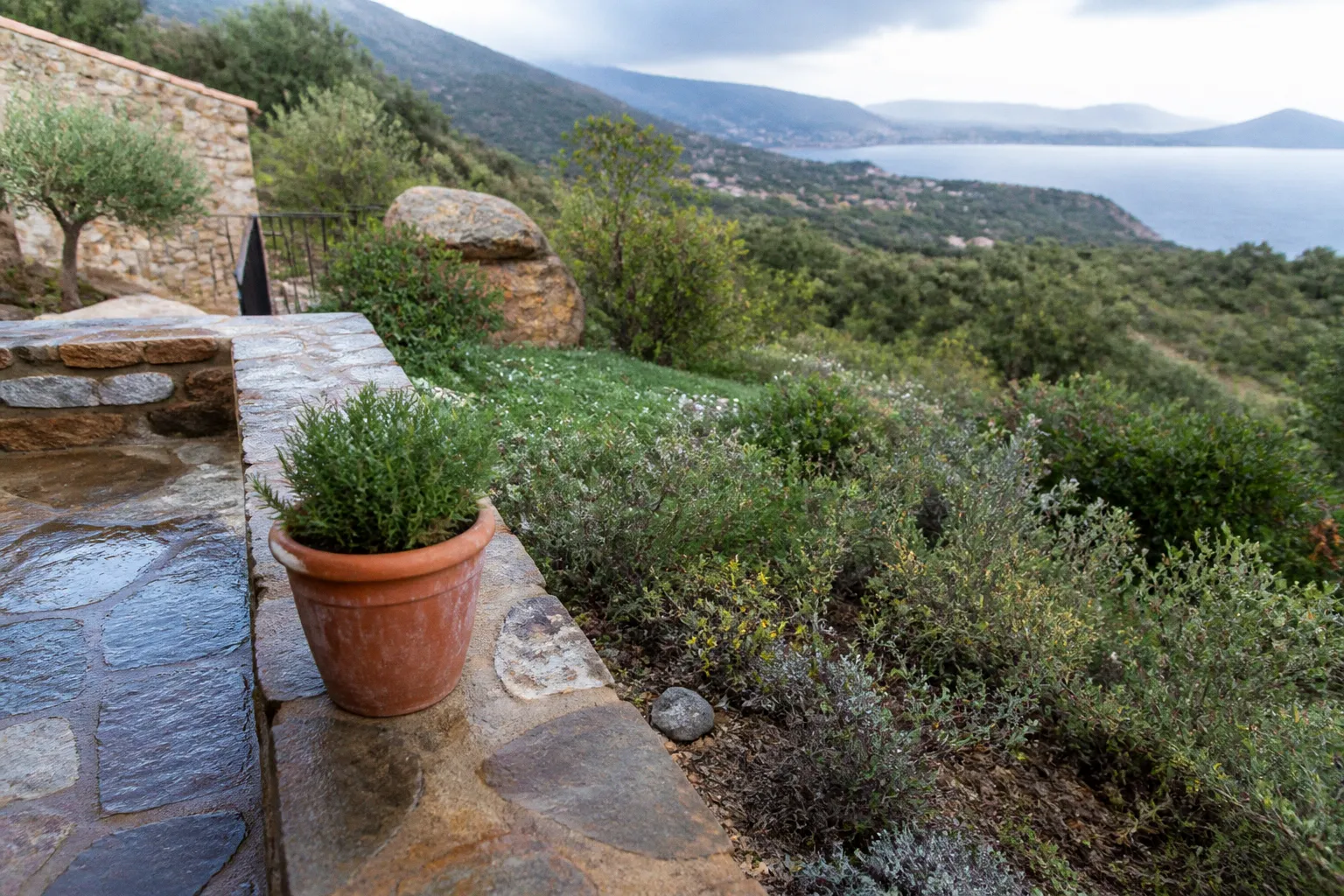 Jardin de villa en Corse : la transformation du maquis