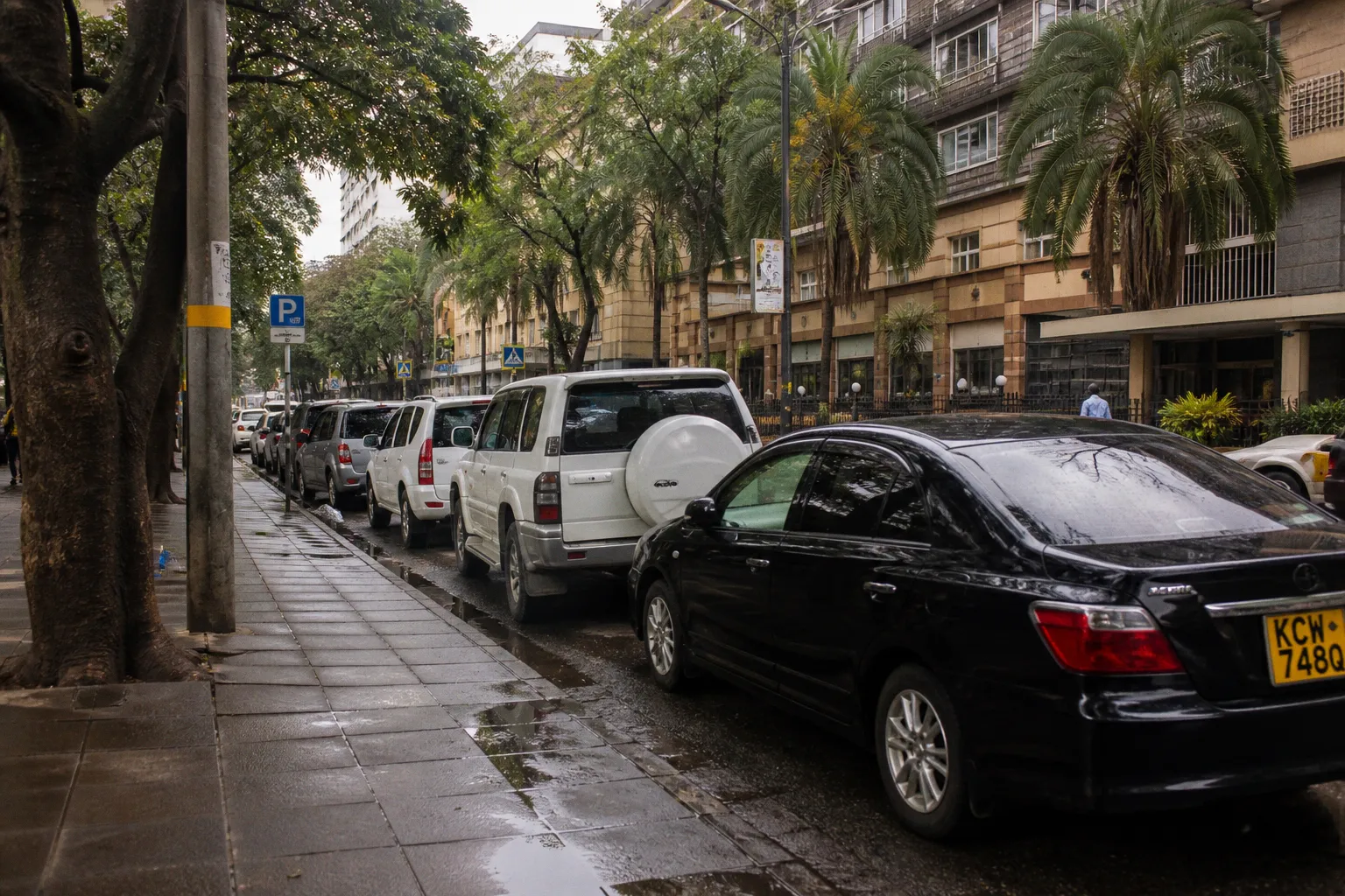 Location de voiture à Nairobi (Kenya) : guide pratique