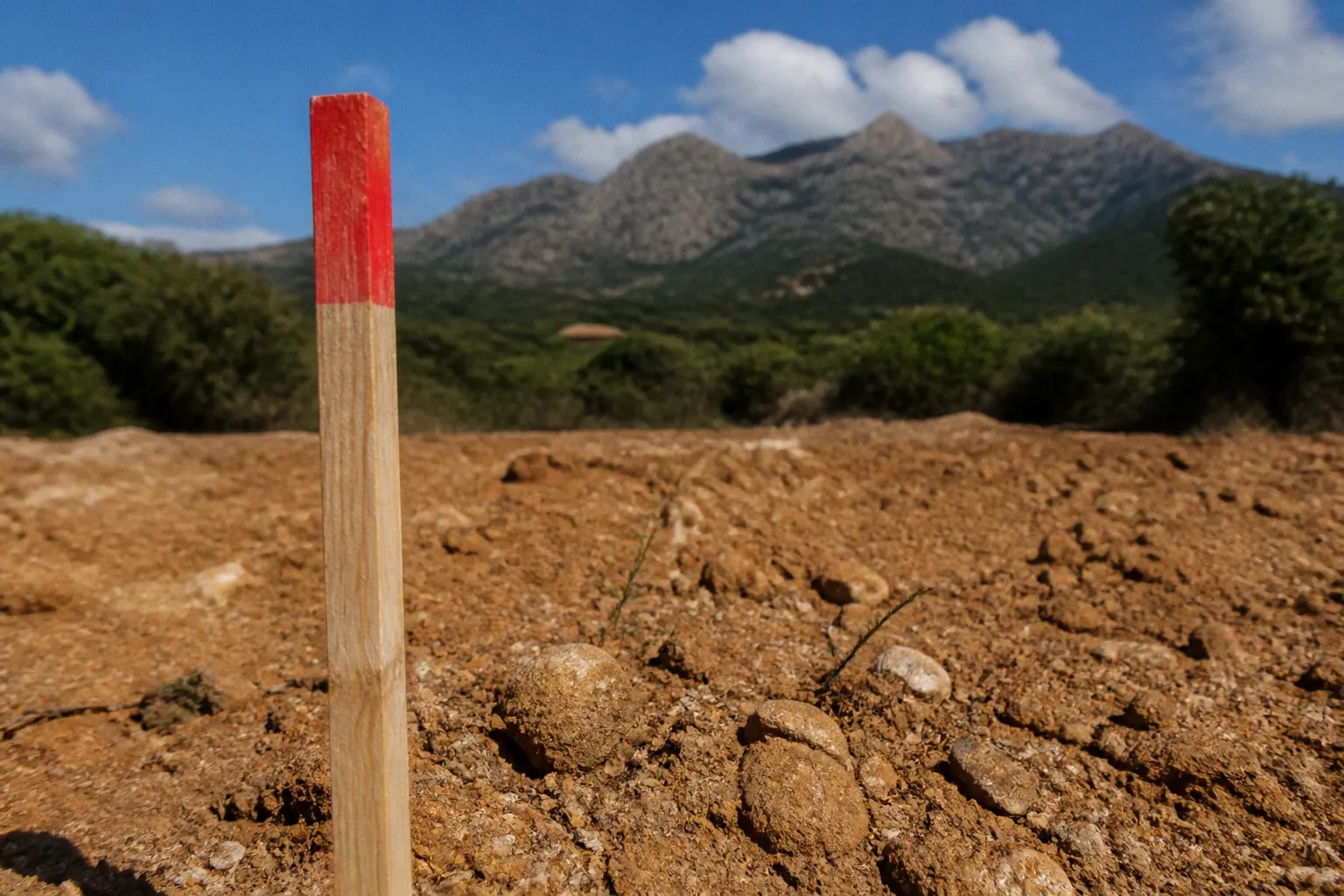 Terrain viabilisé ou non en Corse : quel choix faire ?